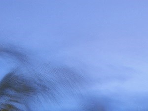 Southgate Towers Luxury Rentals | Apartments in Miami Beach, FL